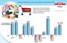 [Info] Índices del precio al consumidor en mayo aumenta 0,49%