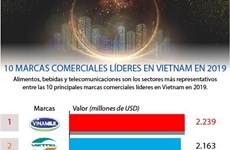 [Info] 10 marcas comerciales líderes en Vietnam en 2019
