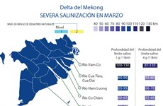 [Info] Delta del Mekong enfrenta su peor salinización en marzo
