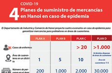 [Info] Planes de suministro de mercancías en Hanoi en caso de epidemia 
