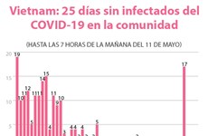 [Info] Vietnam: 25 días sin infectados del COVID-19 entre la comunidad  