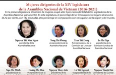 [Info] Mujeres dirigentes de la XIV legislatura de la Asamblea Nacional de Vietnam (2016-2021)