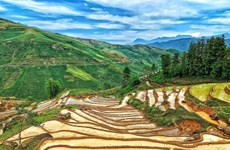 [Foto] Terrazas de arroz en Y Ty, Lao Cai