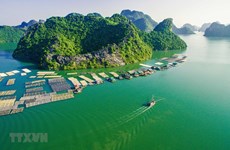 Archipiélago vietnamita opta por desarrollo de turismo verde y sostenible 