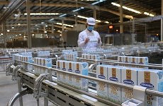 Empresa vietnamita abre nuevo año con gran lote de leche a China 