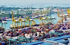 Valor de exportaciones de Vietnam aumenta 30,7 por ciento hasta mayo 