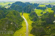 Mes de acción a favor del medioambiente: Hacia un “futuro verde” en Vietnam