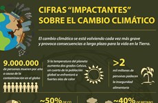 Cifras “impactantes” sobre cambio climático 
