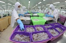 Vietnam, quinto mayor exportador de camarón a Estados Unidos en 2021