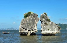 Contemplen el bello escenario de la bahía de Ha Long