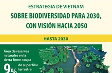 Estrategia de Vietnam sobre biodiversidad para 2030, con visión hacia 2050