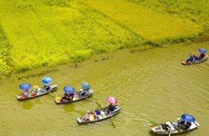 Vietnam logra aumentar índice de competitividad turística 