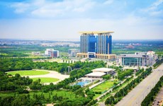 Empresas chinas interesadas en invertir en provincia vietnamita