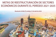Metas de resestructuración de sectores económicos durante el período 2021-2025