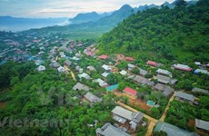 Meseta de Moc Chau en Vietnam: una opción atractiva para turistas 