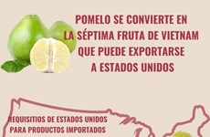 Pomelo se convierte en la séptima fruta de Vietnam que puede exportarse a EE.UU.