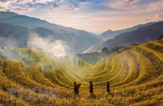 Terrazas de arroz, paisaje majestuoso del Noroeste de Vietnam