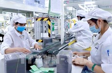 Economía de Vietnam experimenta una fuerte recuperación 