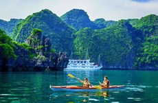 Vietnam recibe a más de 1,23 millones de visitantes en noviembre 