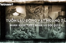 Impedir contrabando de animales salvajes, una batalla actual de Vietnam