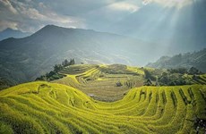 Booking.com revela mejores opciones para viajeros vietnamitas en 2024
