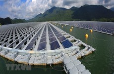 Sector de energía renovable de Vietnam alcanza crecimiento más rápido en el Sudeste Asiático
