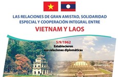 Relaciones de gran amistad, solidaridad especial y cooperación integral entre Vietnam y Laos