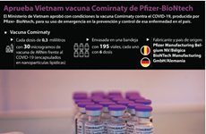 Aprueba Vietnam vacuna Comirnaty de Pfizer-BioNtech