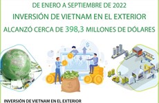Empresas vietnamitas invierten cerca de 398,3 millones de dólares en el exterior