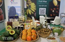 Vietnam apunta a más de cinco mil millones de USD por exportación de frutas para 2025 