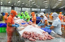 Más de 90 por ciento del pescado Tra vendido en Estados Unidos proviene de Vietnam 