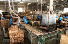 Vietnam espera ganar 18 mil millones de dólares de exportaciones de madera en 2023 