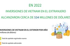 Inversiones de Vietnam en extranjero alcanzaron 534 millones de dólares 