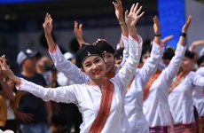 Día de la Cultura de los Grupos Étnicos Vietnamitas: Honrando sus valores culturales