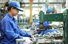 Hanoi acelera desarrollo de industria auxiliar