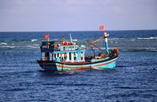 Ser un país poderoso en el ámbito marítimo, gran aspiración de Vietnam 