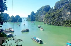 Guía de destinos más hermosos del mundo recomienda a la Bahía de Ha Long