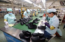 Buscan soluciones para sector de calzado de Vietnam en medio del COVID-19