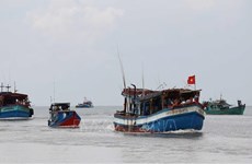 Vietnam busca solución más eficaz para el levantamiento de la “tarjeta amarilla”