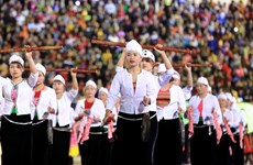 Ministerio de Cultura, Deportes y Turismo de Vietnam promueve transformación digital
