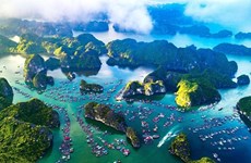 Vietnam refuerza la gestión de áreas marinas protegidas