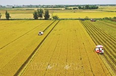 Recomiendan soluciones para transformación digital en agricultura de Vietnam