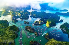 Economía marina, una estrategia importante para el desarrollo de Vietnam