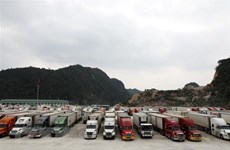 Instan a resolver congestiones en puertas fronterizas de Vietnam antes del Tet