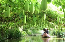 Provincia vietnamita de Dong Thap por desarrollar turismo ecológico