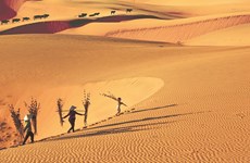 Encanto de las dunas de arena de Binh Thuan en Vietnam 
