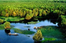 Gestión sostenible de recursos de turberas en Parque Nacional U Minh Ha 
