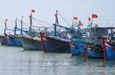 Comunidad pesquera vietnamita comprometida con combatir la pesca ilegal 