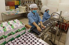 Espacio abierto para un mayor desarrollo de la industria láctea de Vietnam