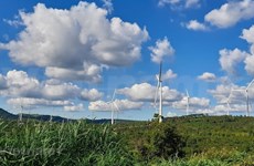 Siete propuestas de Vietnam para el desarrollo sostenible de energías renovables